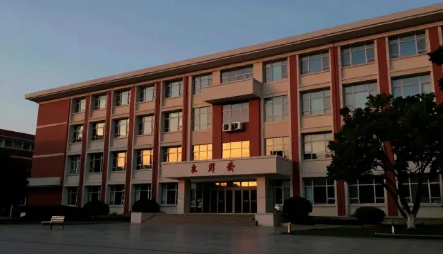 技术服务使用条件：影响选择的关键因素分析